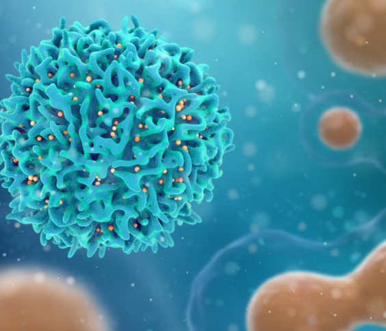 CANCER RESEARCH