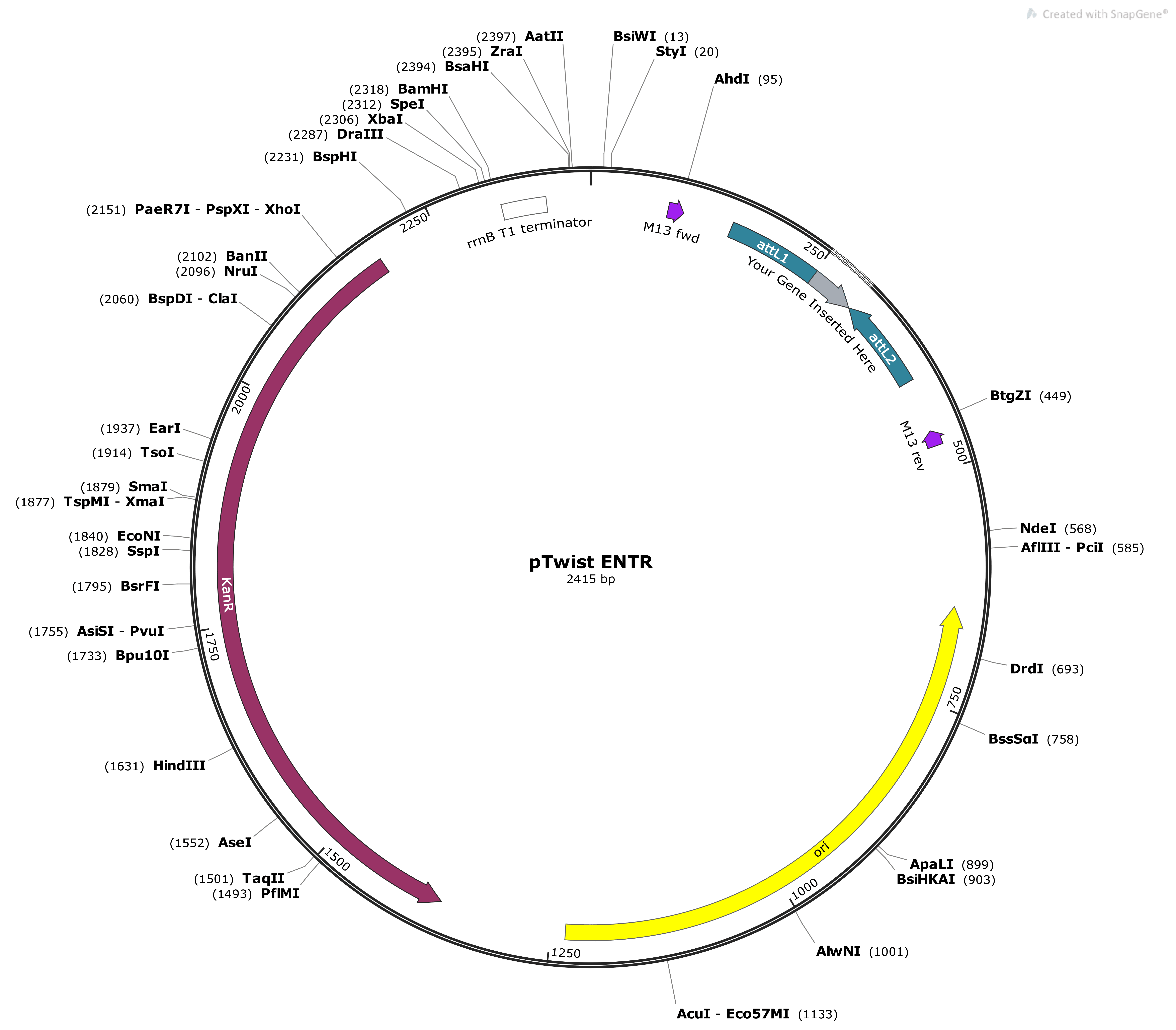 Vector Image