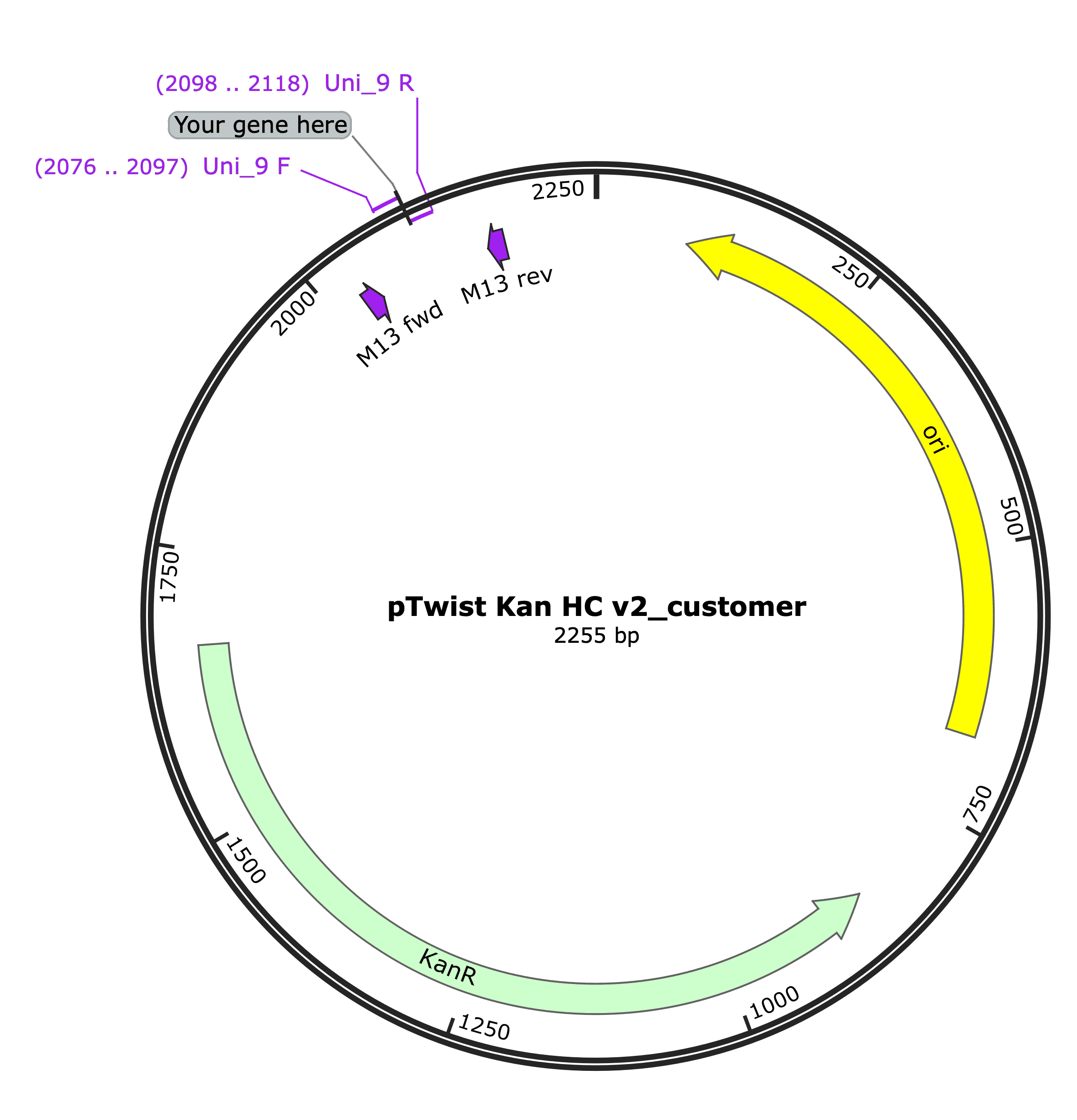 Vector Image